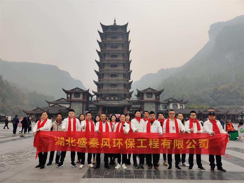 2019年湖北盛秦風(fēng)公司